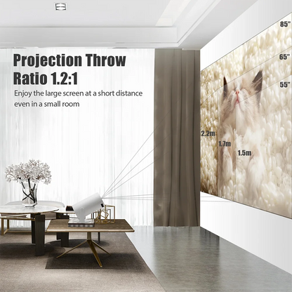 Portable Mini Wireless Projector HY300